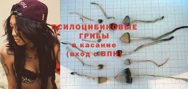 не бодяженный Горнозаводск