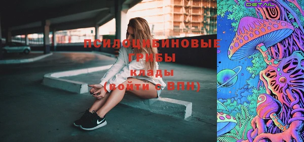 apvp Горно-Алтайск