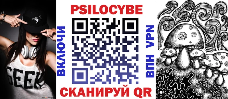 Псилоцибиновые грибы Psilocybine cubensis  Северск 